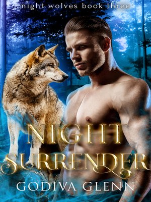 cover image of Night Surrender